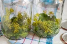 Мариновані помідори на зиму в банках без стерилізації. мариновані