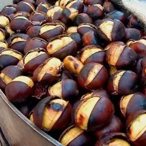 кестени Кестените marroni