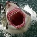 Мільйон () 5 букв - пошук слів по масці та визначенню, відповіді на сканворди букв