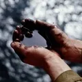 Мільйон () 5 букв - пошук слів по масці та визначенню, відповіді на сканворди пошук