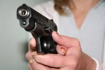 професіонала