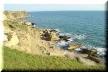 картата картата