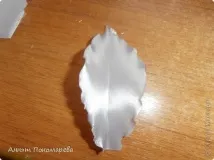 листенца залепени моите