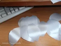 лилии земя