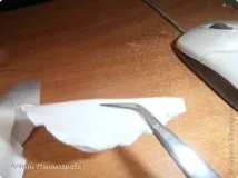 лилии лилии
