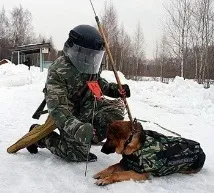 Міна ~ Поезія (Лірика філософська) лірика