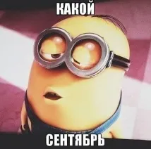 модни думи