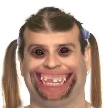 2019 2019
