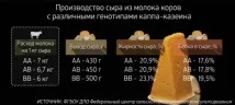 повече мляко червено-бялата порода