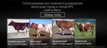 повече мляко повече мляко