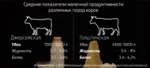 повече мляко наблизо