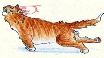 котка вашата