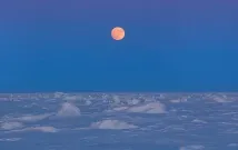 полярната