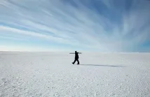 полярната