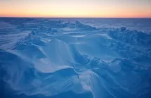 Ройтерс Лукас