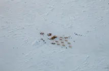 станция