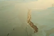 Ройтерс Лукас
