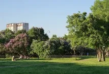 церковної