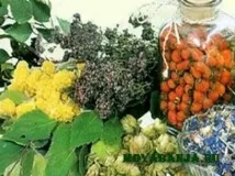 Народні засоби для лазні, Моя лазня лазні