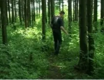 Народні прикмети визначення сторін світла визначення