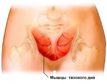 мула бандха