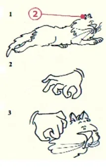 котка котка