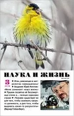 НЕСУЧНА ЛАТИН, Наука та життя несучна