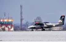 местните
