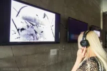 Незвичайнаекскурсія в Лофт Проект ПОВЕРХИ, ФОТО НОВИНИ незвичайнаекскурсія