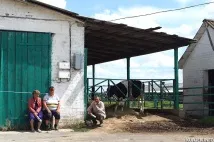 Гній та люди люди