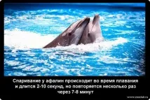 факти неизвестни