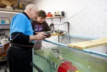 извънредните ситуации направи