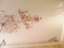 Натяжні стелі з фотодруком натяжні