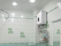 петроградски тавани
