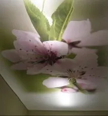 Натяжні стелі з фотодруком стелі