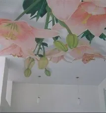 Натяжні стелі з фотодруком фотодруком