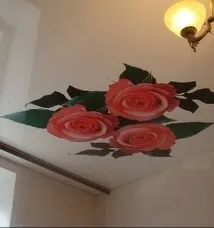 Натяжні стелі з фотодруком натяжні