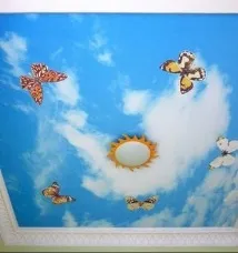 Натяжні стелі з фотодруком фотодруком
