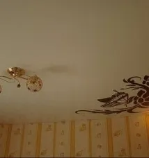Натяжні стелі з фотодруком натяжні
