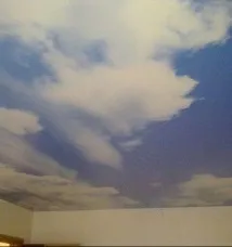 Натяжні стелі з фотодруком фотодруком