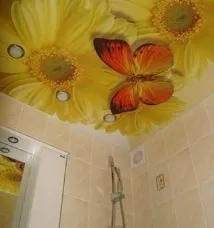 Натяжні стелі з фотодруком фотодруком