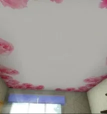 Натяжні стелі з фотодруком стелі