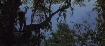 Знайди десять відмінностей, або що таке перезавантаження франшизи десять