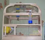 Размери клетката клетката