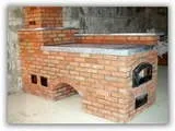 Загальні відомості про помідори вони