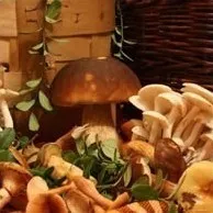 Про що треба пам’ятати садівникові та квітникареві у вересні - сезонний календар робіт у вересні на Ваш Сад садівникові