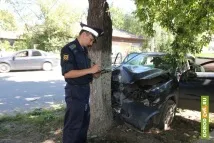 Огляд 7-13 липня Скелет у кесоні, вріо на весіллі, «зачистки» від мера, замкнули та підпалили. липня