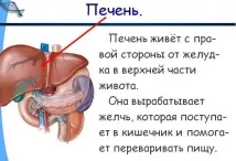 почистване почистване