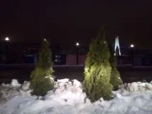 Огляд Highscreen Power Ice Evo триматися щосили power