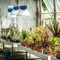 Освітлення теплиць які світильники кращі за норму на спектральний спектр спектральний